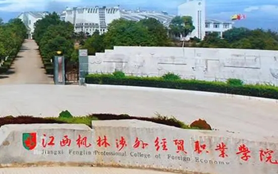 江西楓林涉外經(jīng)貿(mào)職業(yè)學(xué)院中外合作辦學(xué)學(xué)費（2024）
