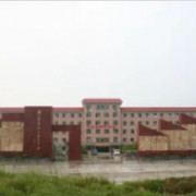 平果第三高級中學(xué)