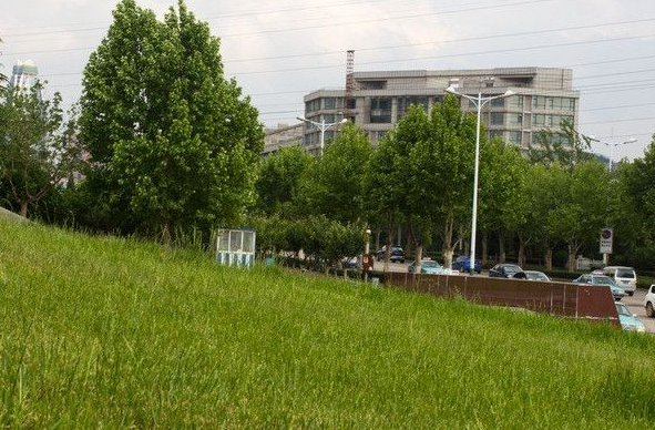 蕪湖機(jī)械工程學(xué)校召開2023-2024學(xué)年度第二學(xué)期工作總結(jié)大會