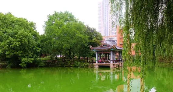 2024年鄭州市中等職業(yè)學校班主任能力大賽圓滿落幕