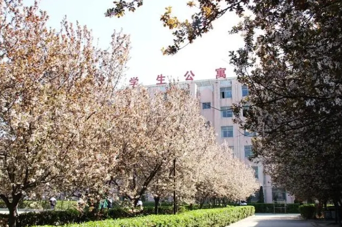 邢臺市第三中學(xué)地址，乘車路線