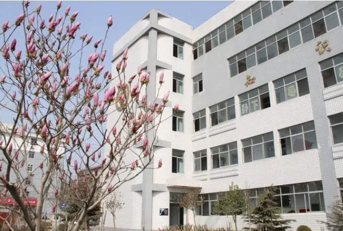 邢臺市第三中學怎么樣、好不好
