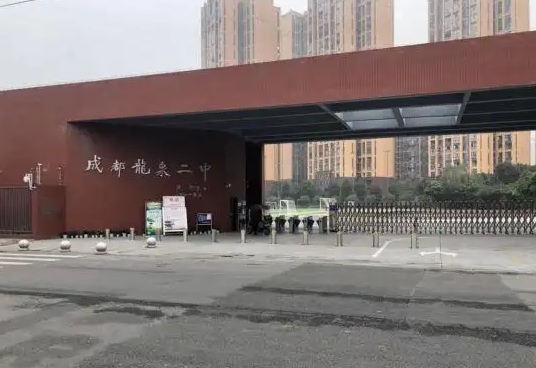 2025龍泉二中招生計劃 招生人數(shù)是多少(附要求、條件、對象)
