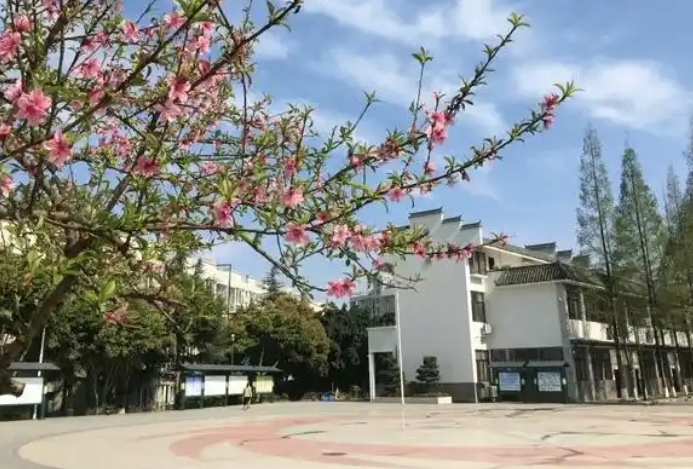 2025龍泉師一招生計(jì)劃 招生人數(shù)是多少(附要求、條件、對(duì)象)