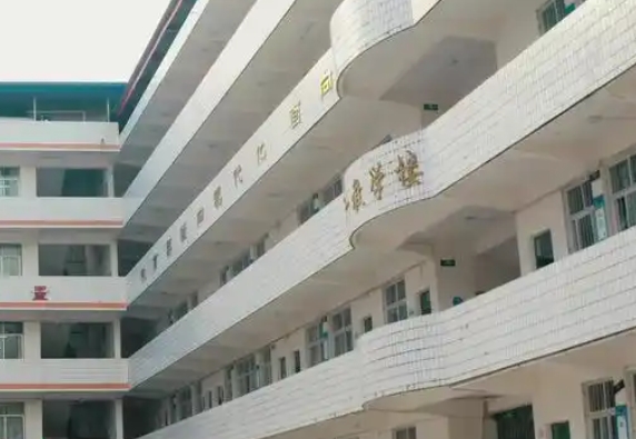 三星中學(xué)招生簡(jiǎn)章2025年