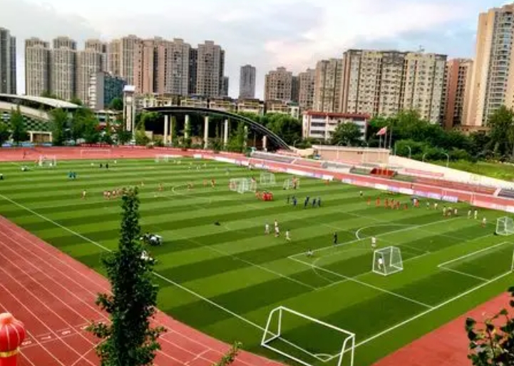 2025成都市青白江區(qū)龍王中學(xué)招生計劃 招生人數(shù)是多少(附要求、條件、對象)