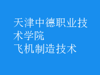 飛機制造技術(shù)