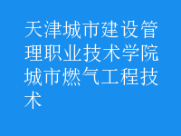 城市燃氣工程技術(shù)