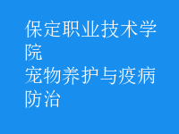 寵物養(yǎng)護(hù)與疫病防治