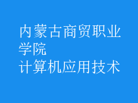 計算機應(yīng)用技術(shù)