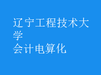 會計(jì)電算化