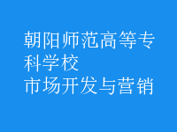 市場(chǎng)開(kāi)發(fā)與營(yíng)銷(xiāo)