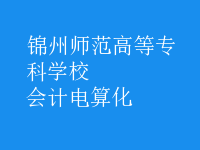 會計(jì)電算化