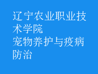 寵物養(yǎng)護(hù)與疫病防治