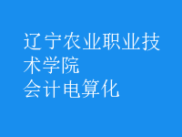 會計(jì)電算化