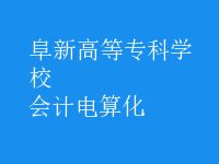 會計(jì)電算化