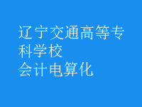 會計(jì)電算化