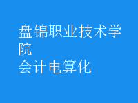 會計(jì)電算化