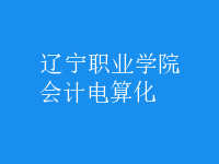 會計(jì)電算化