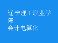會計(jì)電算化