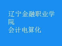 會計(jì)電算化