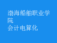 會計(jì)電算化