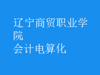 會計(jì)電算化