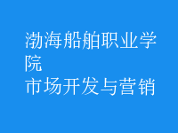 市場(chǎng)開(kāi)發(fā)與營(yíng)銷(xiāo)