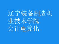 會計(jì)電算化
