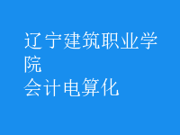 會計(jì)電算化
