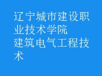 建筑電氣工程技術(shù)