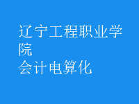 會計(jì)電算化