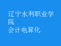 會計(jì)電算化
