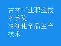 精細化學(xué)品生產(chǎn)技術(shù)