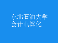 會計(jì)電算化