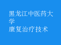 康復治療技術(shù)