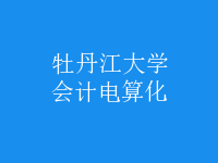 會計(jì)電算化