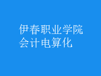 會計(jì)電算化