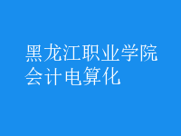 會計(jì)電算化