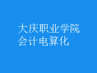 會計(jì)電算化