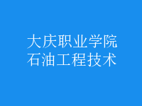 石油工程技術(shù)