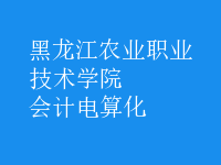 會計(jì)電算化