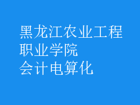會計(jì)電算化