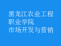 市場(chǎng)開(kāi)發(fā)與營(yíng)銷(xiāo)