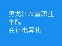 會計(jì)電算化