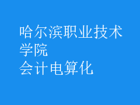 會計(jì)電算化