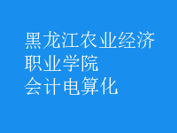 會計(jì)電算化