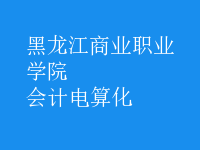 會計(jì)電算化