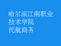民航商務