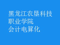 會計(jì)電算化